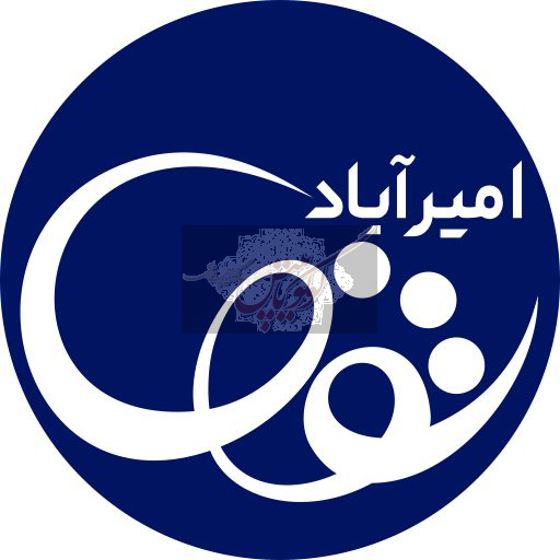 امیرآباد شول