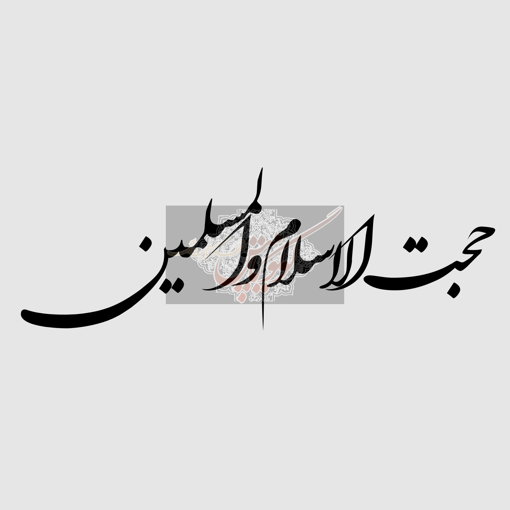 حجت الاسلام و المسلمین